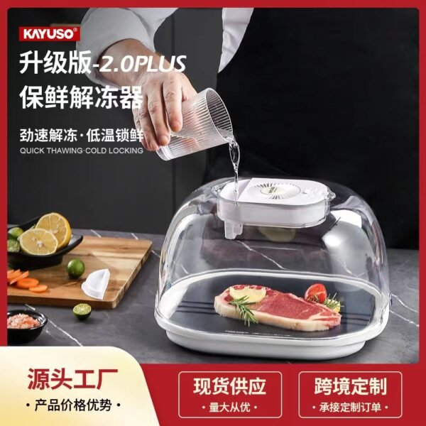 KAYUSO 2.0 Plus Defrosting Device